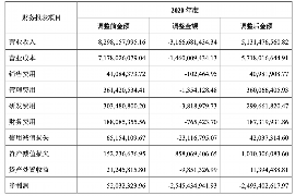 岗巴融资清欠服务